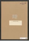 Amphora coffeaeformis (Ag.) Kuetz. (de-Toni-Nr.: Genus 36, Species 1559) Zeichnungen Sammlung Grunow Nr. 3007 (NHMW-BOT-W0370383)